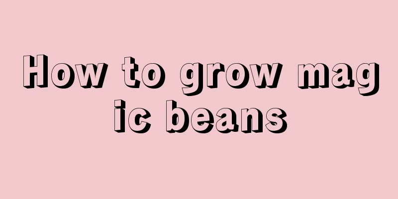 How to grow magic beans