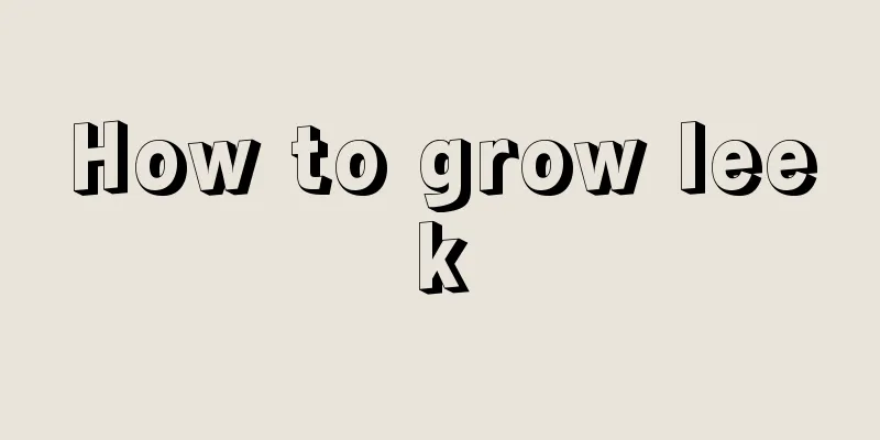 How to grow leek