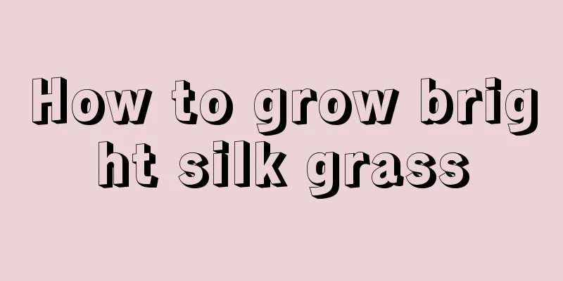 How to grow bright silk grass