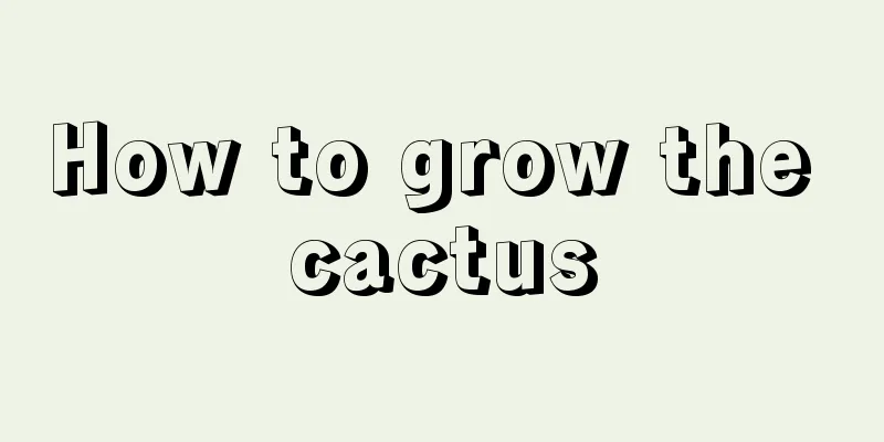 How to grow the cactus