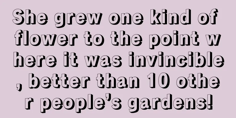 She grew one kind of flower to the point where it was invincible, better than 10 other people’s gardens!