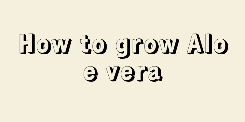 How to grow Aloe vera