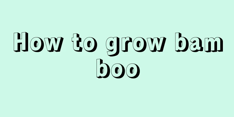 How to grow bamboo