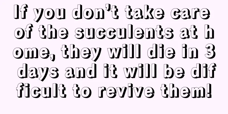 If you don’t take care of the succulents at home, they will die in 3 days and it will be difficult to revive them!