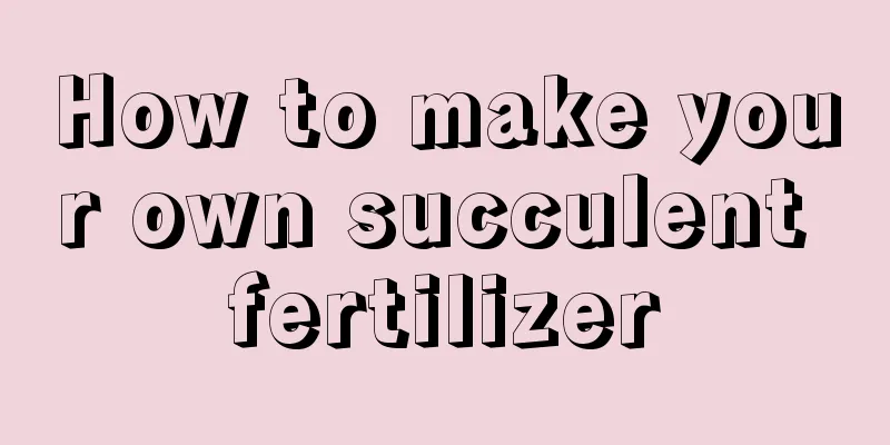 How to make your own succulent fertilizer