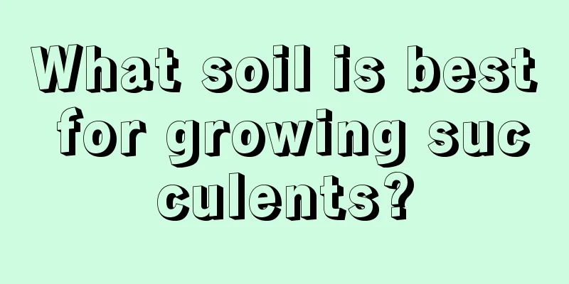 What soil is best for growing succulents?