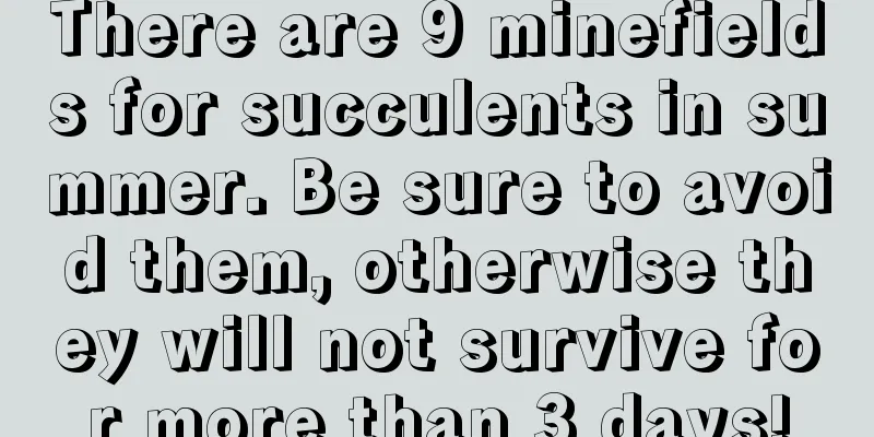 There are 9 minefields for succulents in summer. Be sure to avoid them, otherwise they will not survive for more than 3 days!