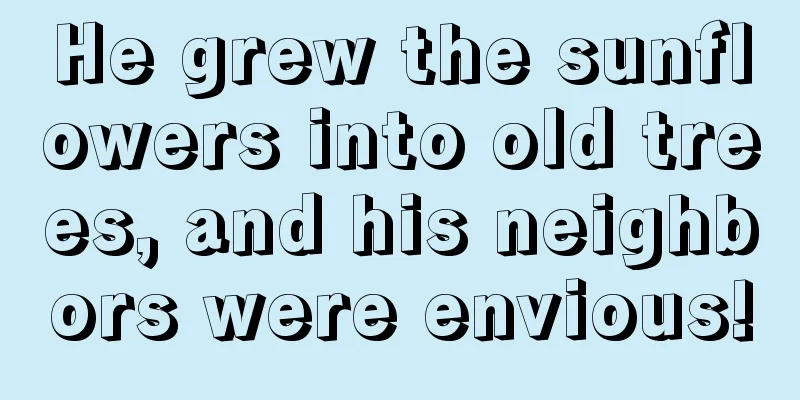 He grew the sunflowers into old trees, and his neighbors were envious!