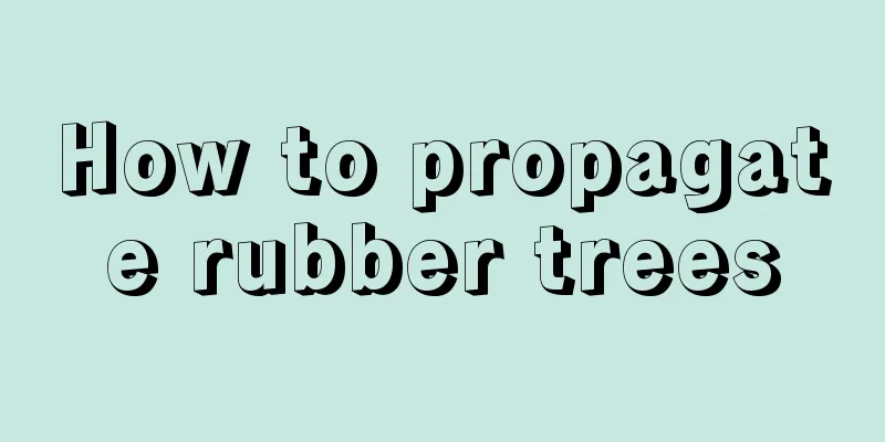 How to propagate rubber trees