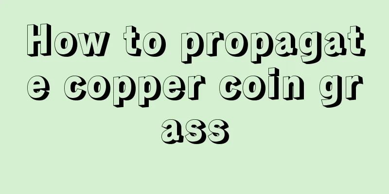 How to propagate copper coin grass