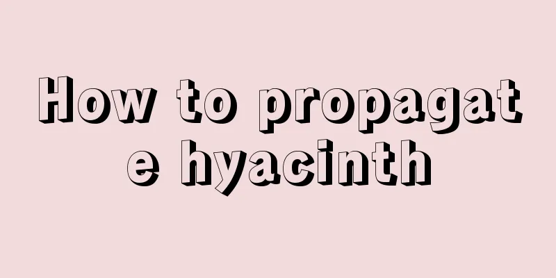 How to propagate hyacinth