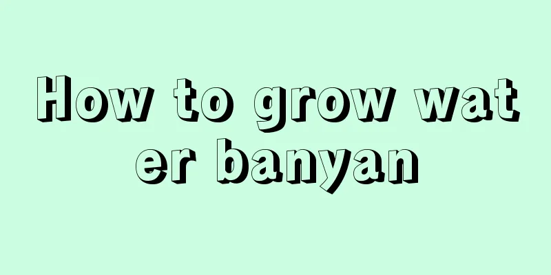 How to grow water banyan