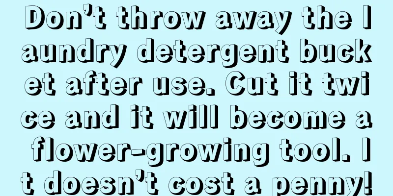 Don’t throw away the laundry detergent bucket after use. Cut it twice and it will become a flower-growing tool. It doesn’t cost a penny!