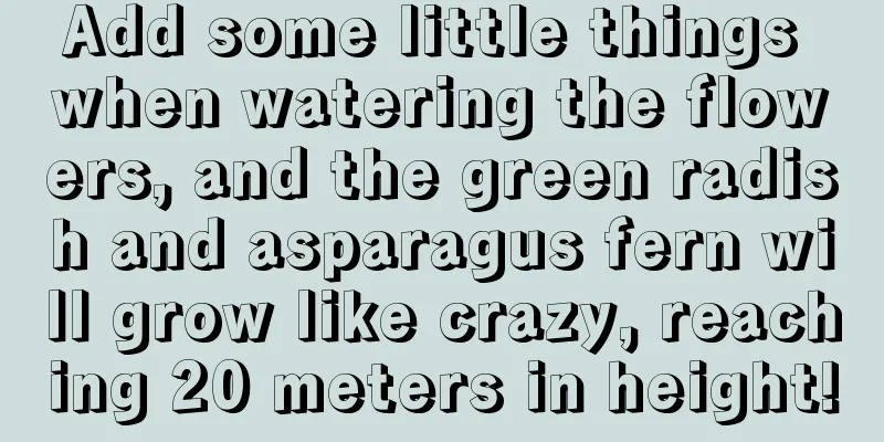 Add some little things when watering the flowers, and the green radish and asparagus fern will grow like crazy, reaching 20 meters in height!