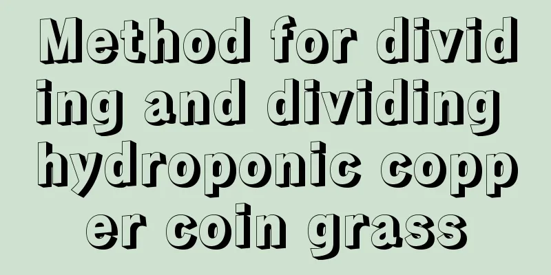 Method for dividing and dividing hydroponic copper coin grass