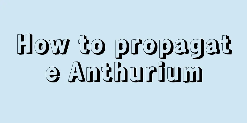 How to propagate Anthurium