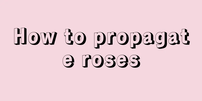 How to propagate roses