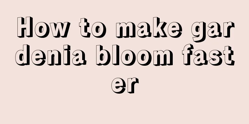 How to make gardenia bloom faster