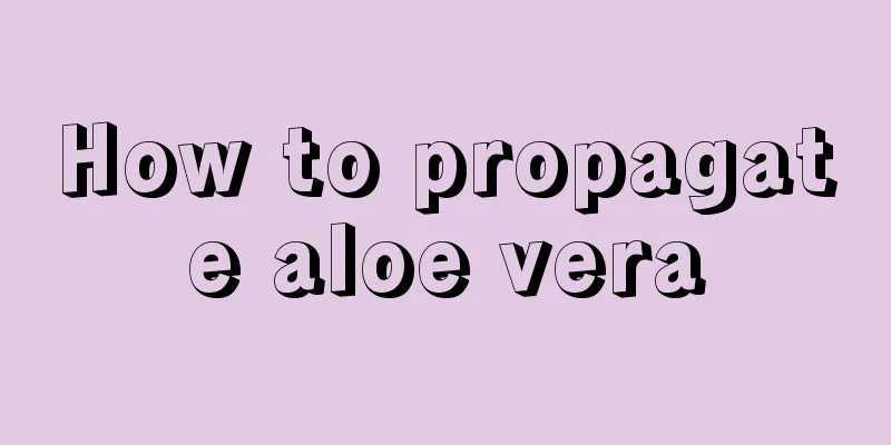 How to propagate aloe vera