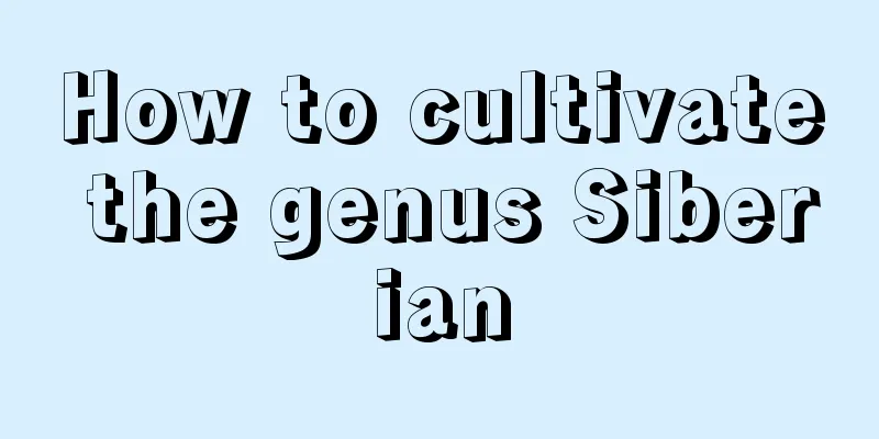 How to cultivate the genus Siberian