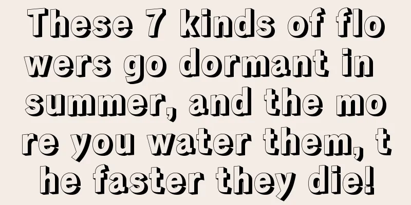 These 7 kinds of flowers go dormant in summer, and the more you water them, the faster they die!