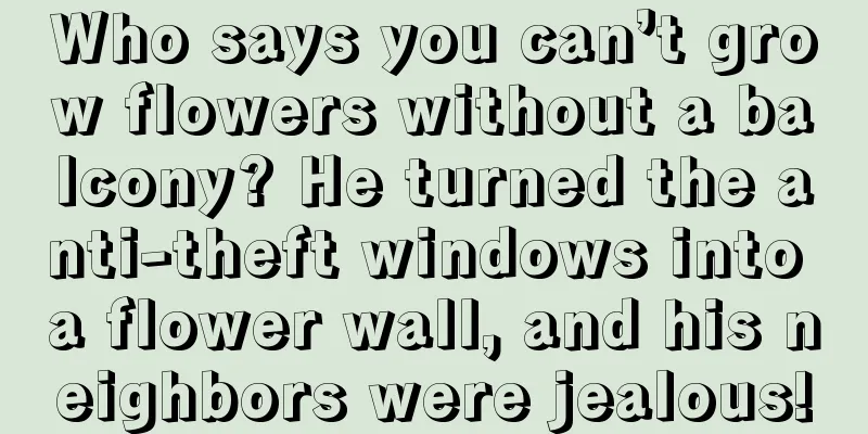 Who says you can’t grow flowers without a balcony? He turned the anti-theft windows into a flower wall, and his neighbors were jealous!