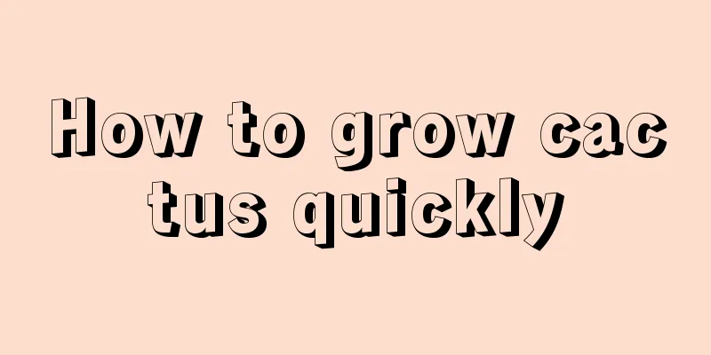 How to grow cactus quickly