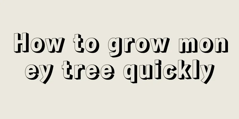 How to grow money tree quickly