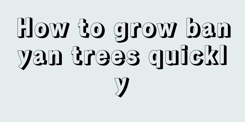 How to grow banyan trees quickly