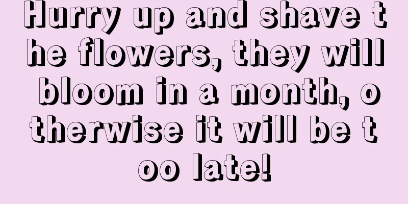 Hurry up and shave the flowers, they will bloom in a month, otherwise it will be too late!