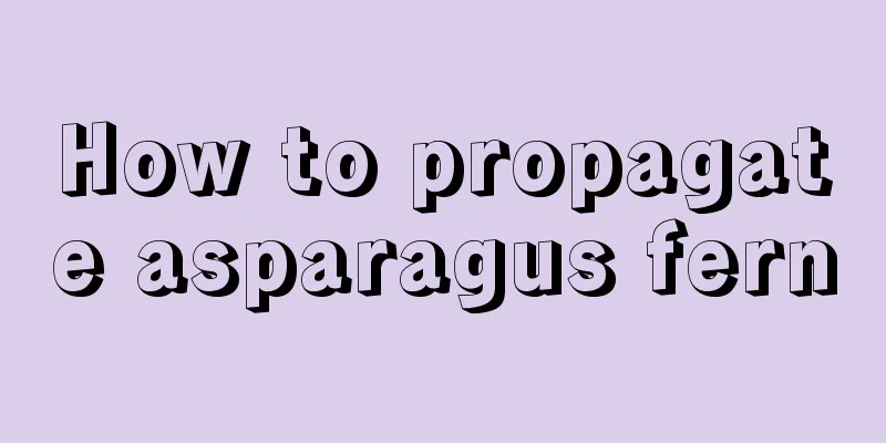 How to propagate asparagus fern