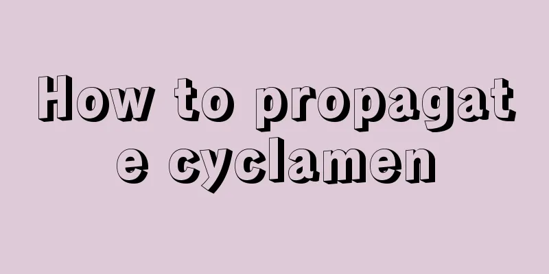 How to propagate cyclamen