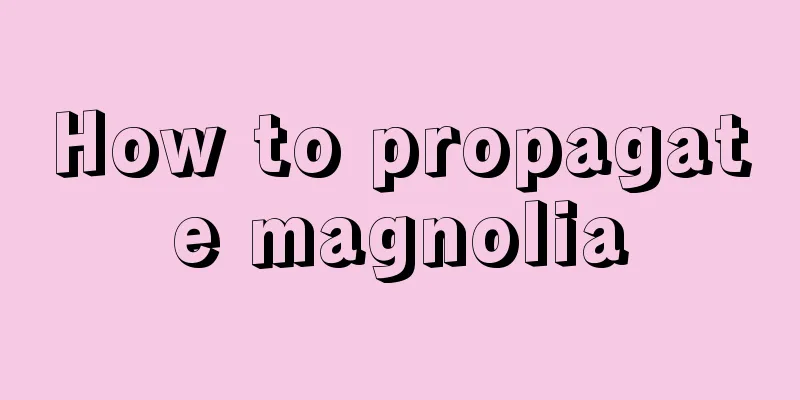 How to propagate magnolia