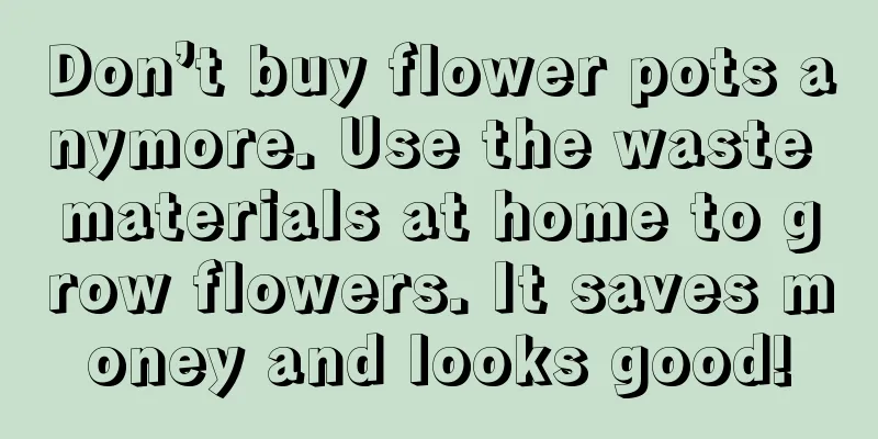 Don’t buy flower pots anymore. Use the waste materials at home to grow flowers. It saves money and looks good!