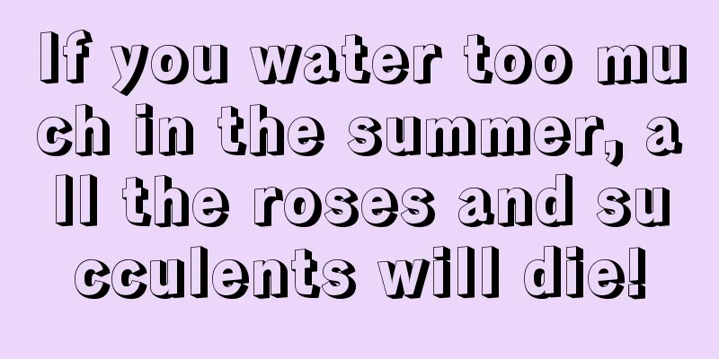 If you water too much in the summer, all the roses and succulents will die!