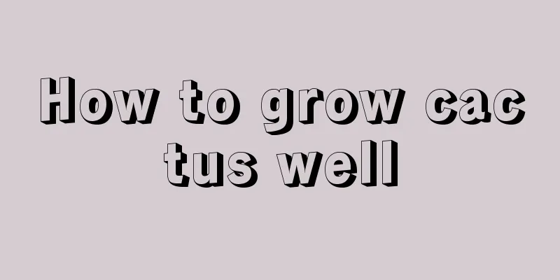 How to grow cactus well