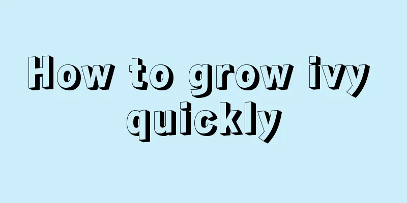 How to grow ivy quickly