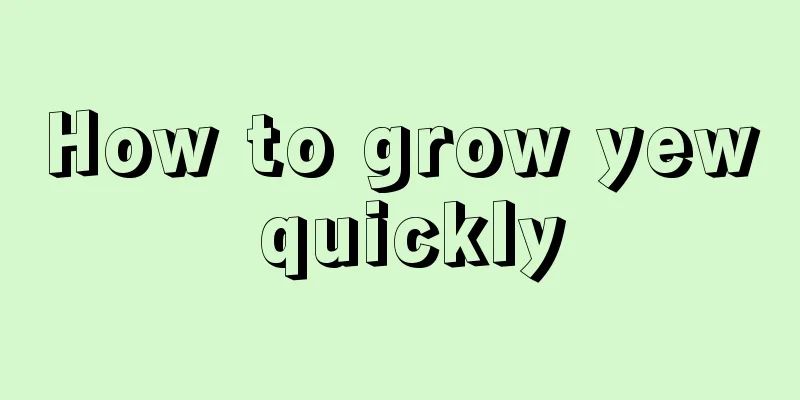 How to grow yew quickly