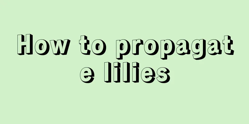 How to propagate lilies