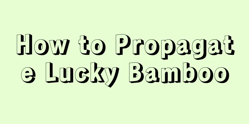 How to Propagate Lucky Bamboo