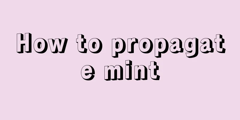 How to propagate mint