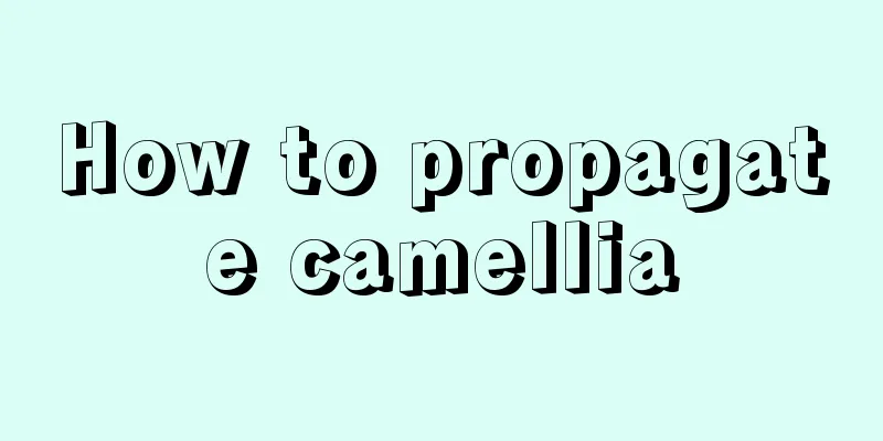 How to propagate camellia