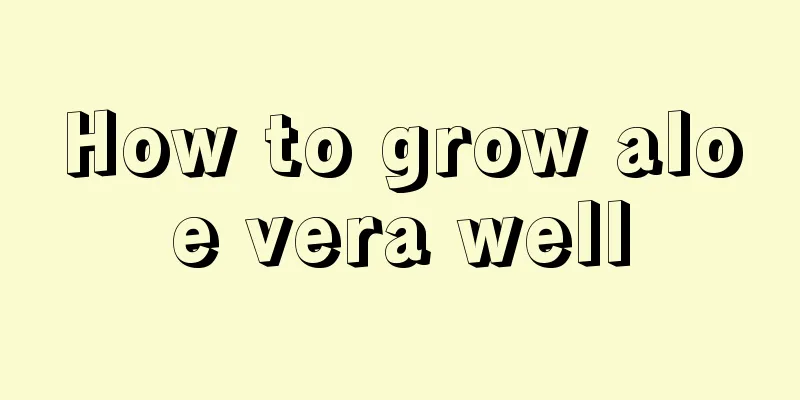 How to grow aloe vera well