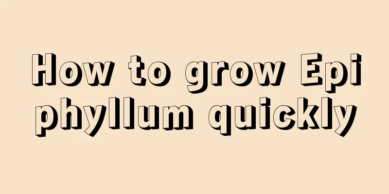 How to grow Epiphyllum quickly