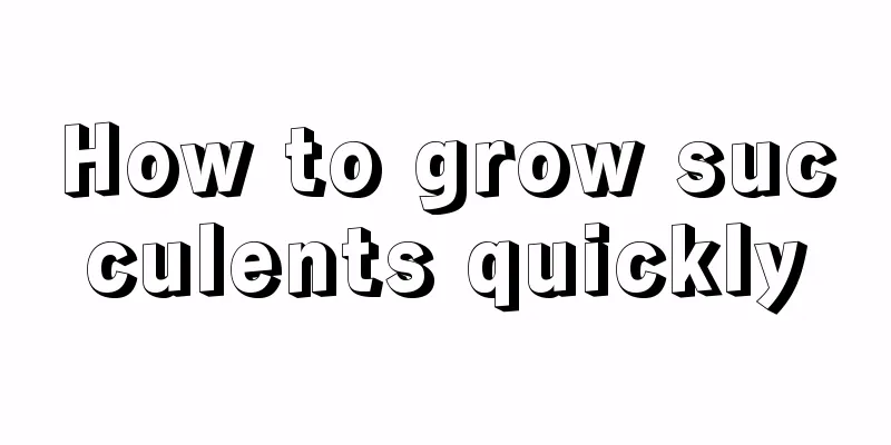 How to grow succulents quickly