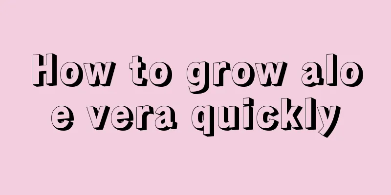 How to grow aloe vera quickly