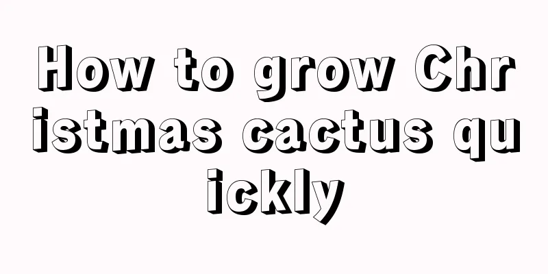 How to grow Christmas cactus quickly