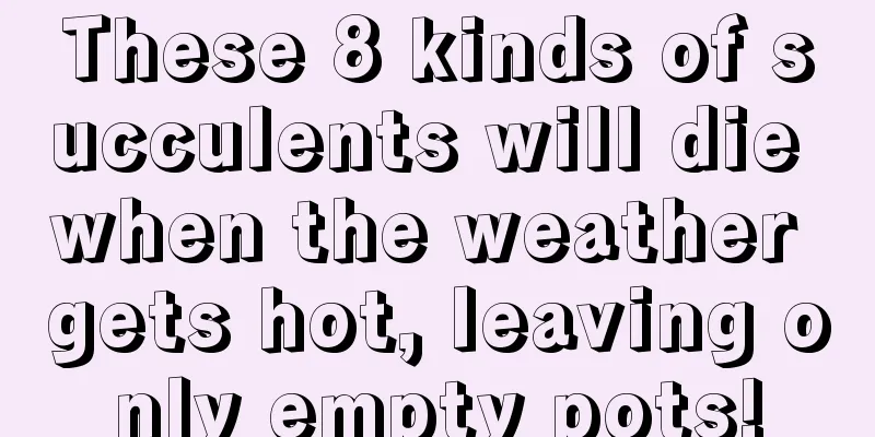 These 8 kinds of succulents will die when the weather gets hot, leaving only empty pots!