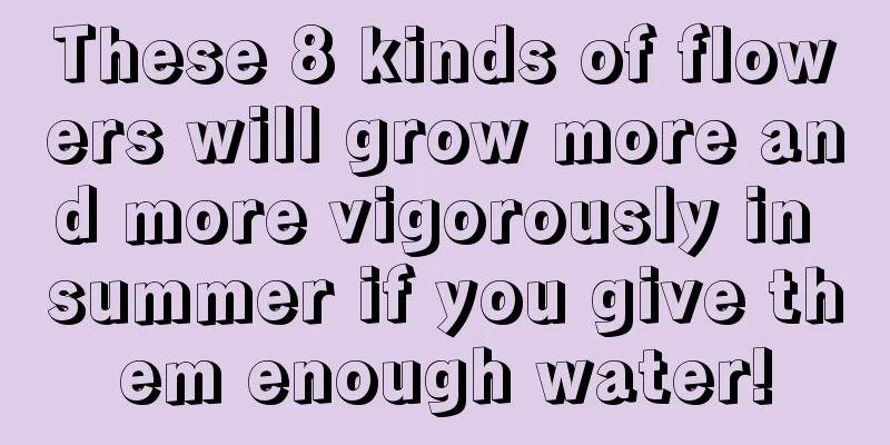 These 8 kinds of flowers will grow more and more vigorously in summer if you give them enough water!