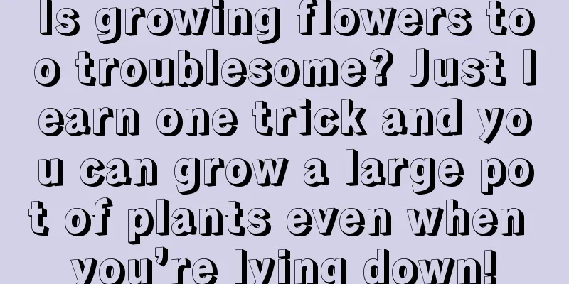 Is growing flowers too troublesome? Just learn one trick and you can grow a large pot of plants even when you’re lying down!